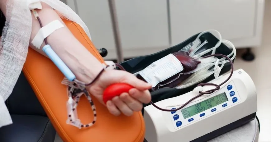 therapeutic-blood-draw